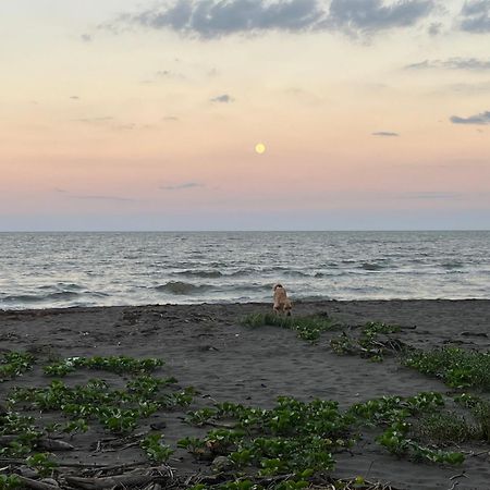 Frias Home Tortuguero Bagian luar foto